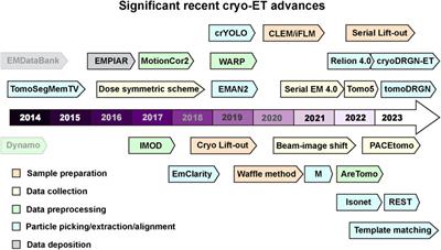 Recent advances in infectious disease research using cryo-electron tomography